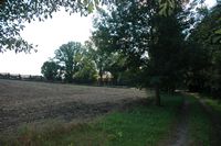Wiosna