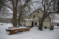 Zima