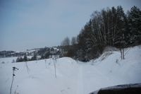 Zima